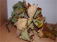 konkurs_jesien (26)